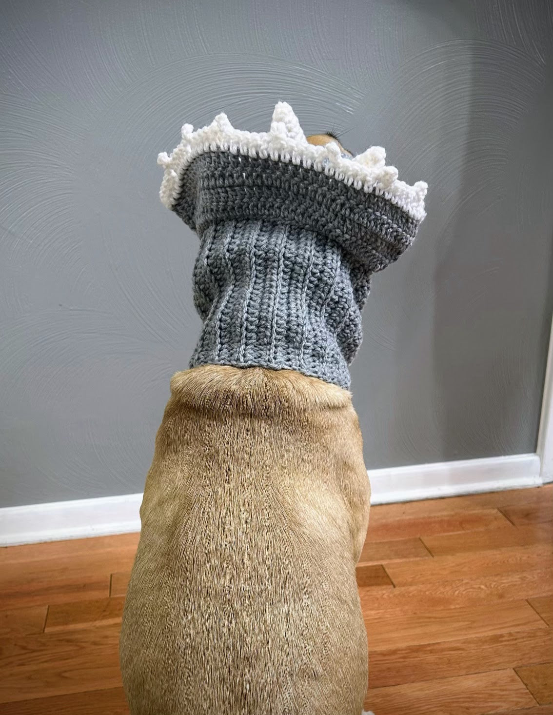 Crochet Dog Triceratops Snood Pattern