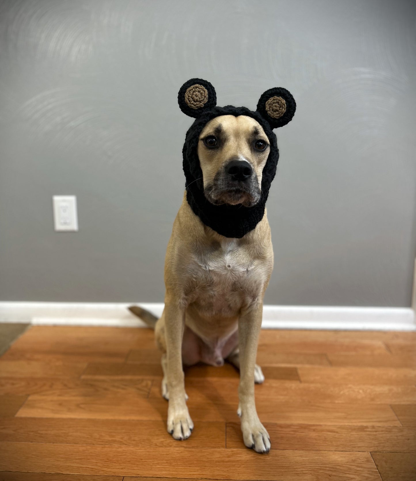 Crochet Dog Black Bear Snood Pattern
