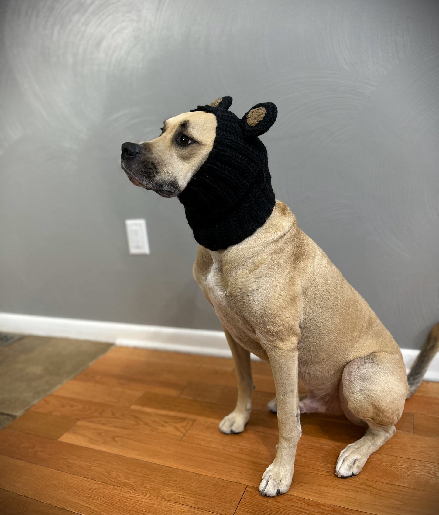 Crochet Dog Black Bear Snood Pattern