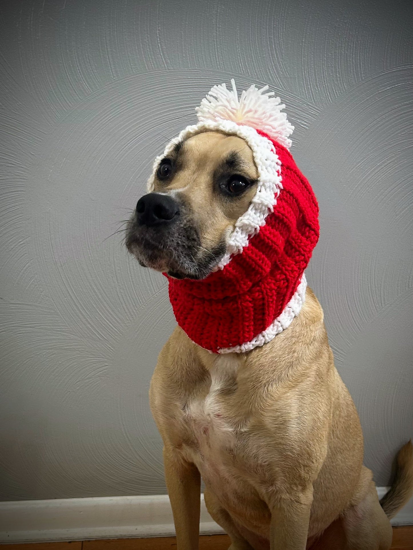Crochet Christmas Dog Snood Pattern
