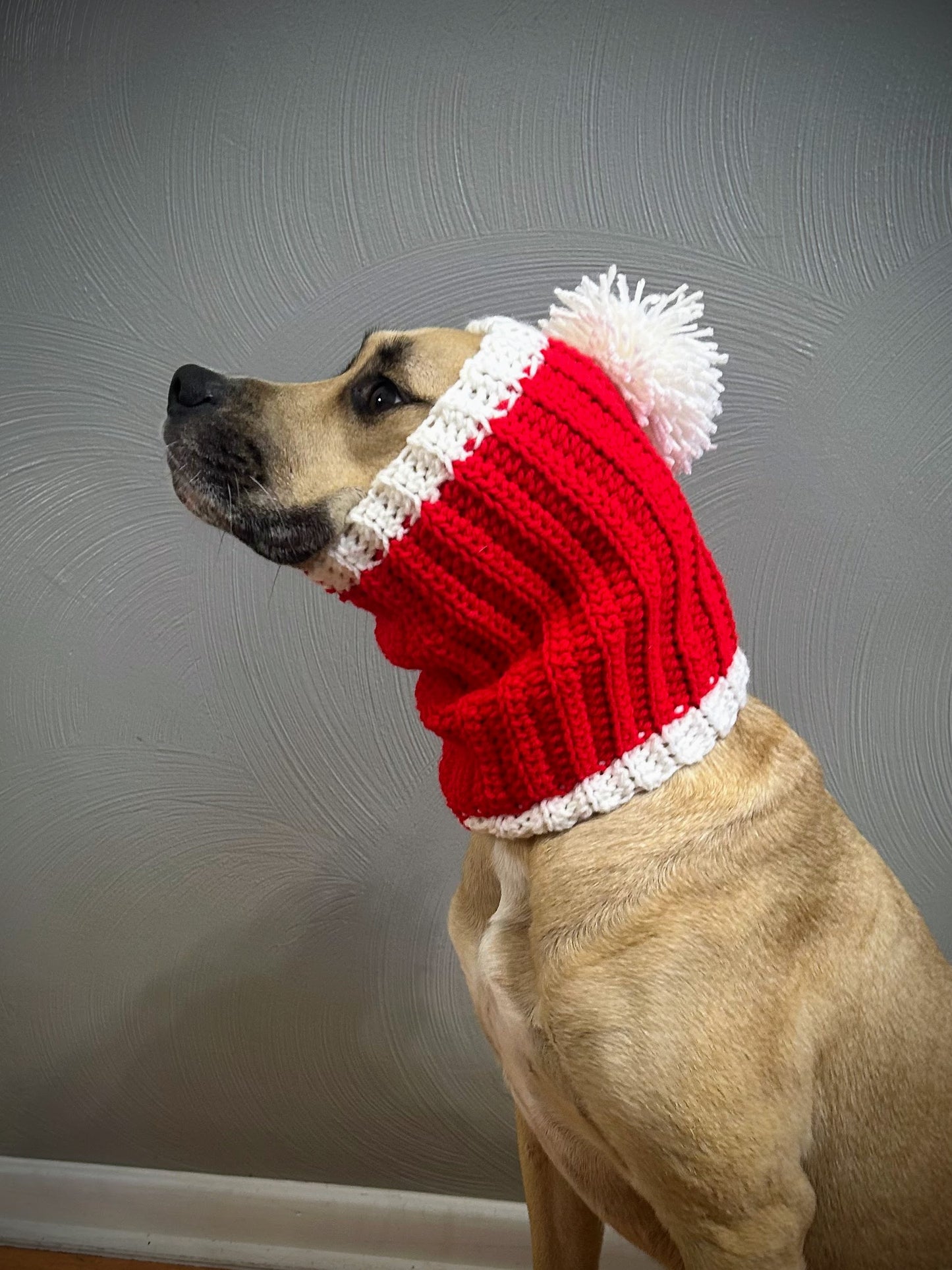 Crochet Christmas Dog Snood Pattern