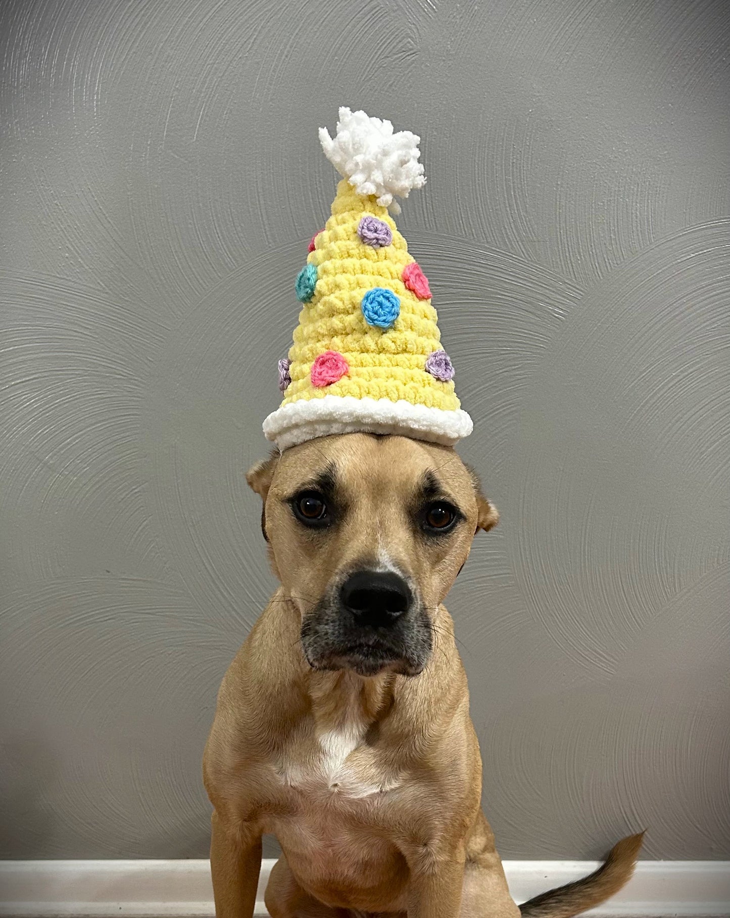 Crochet Dog Birthday Hat Pattern