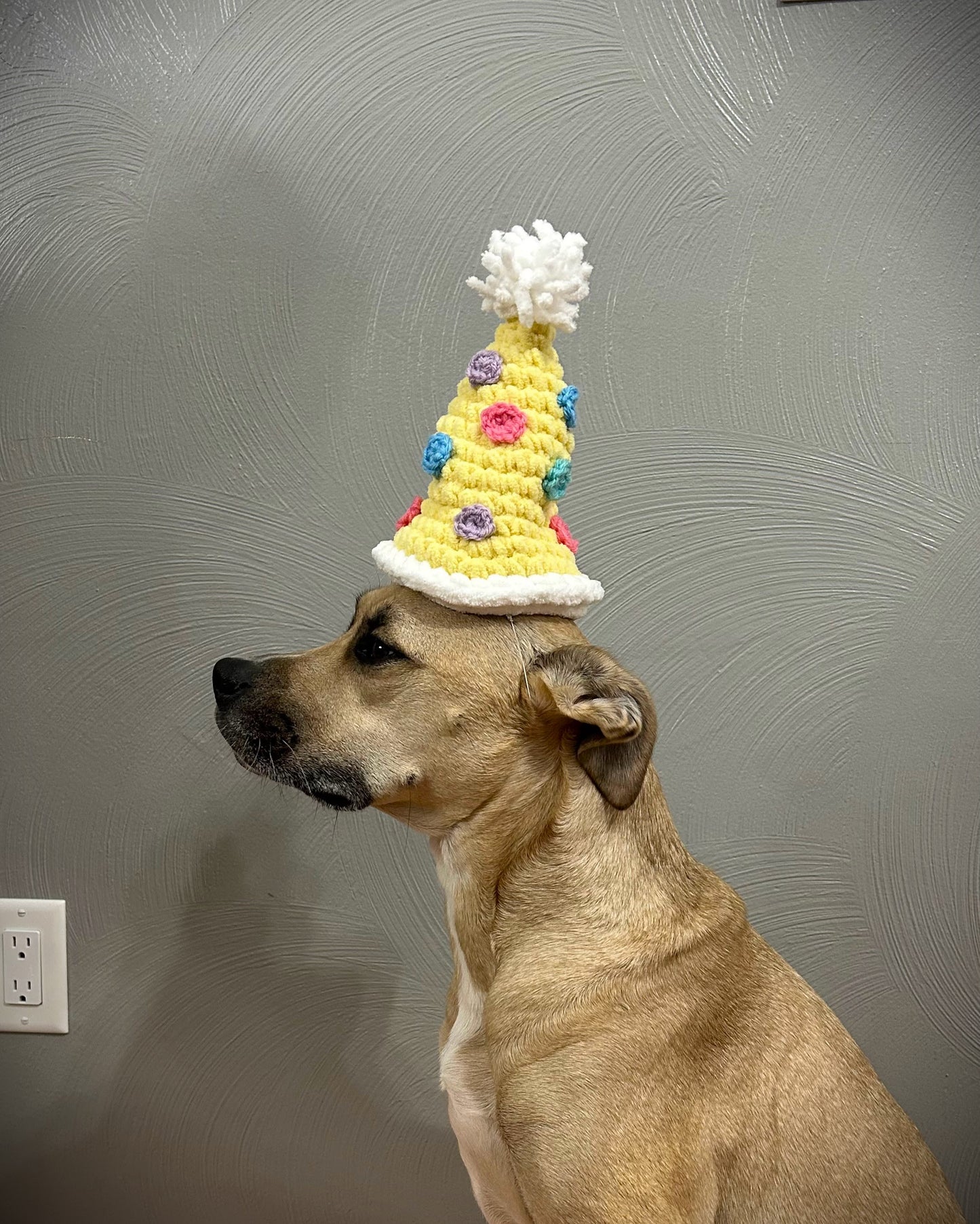 Crochet Dog Birthday Hat Pattern