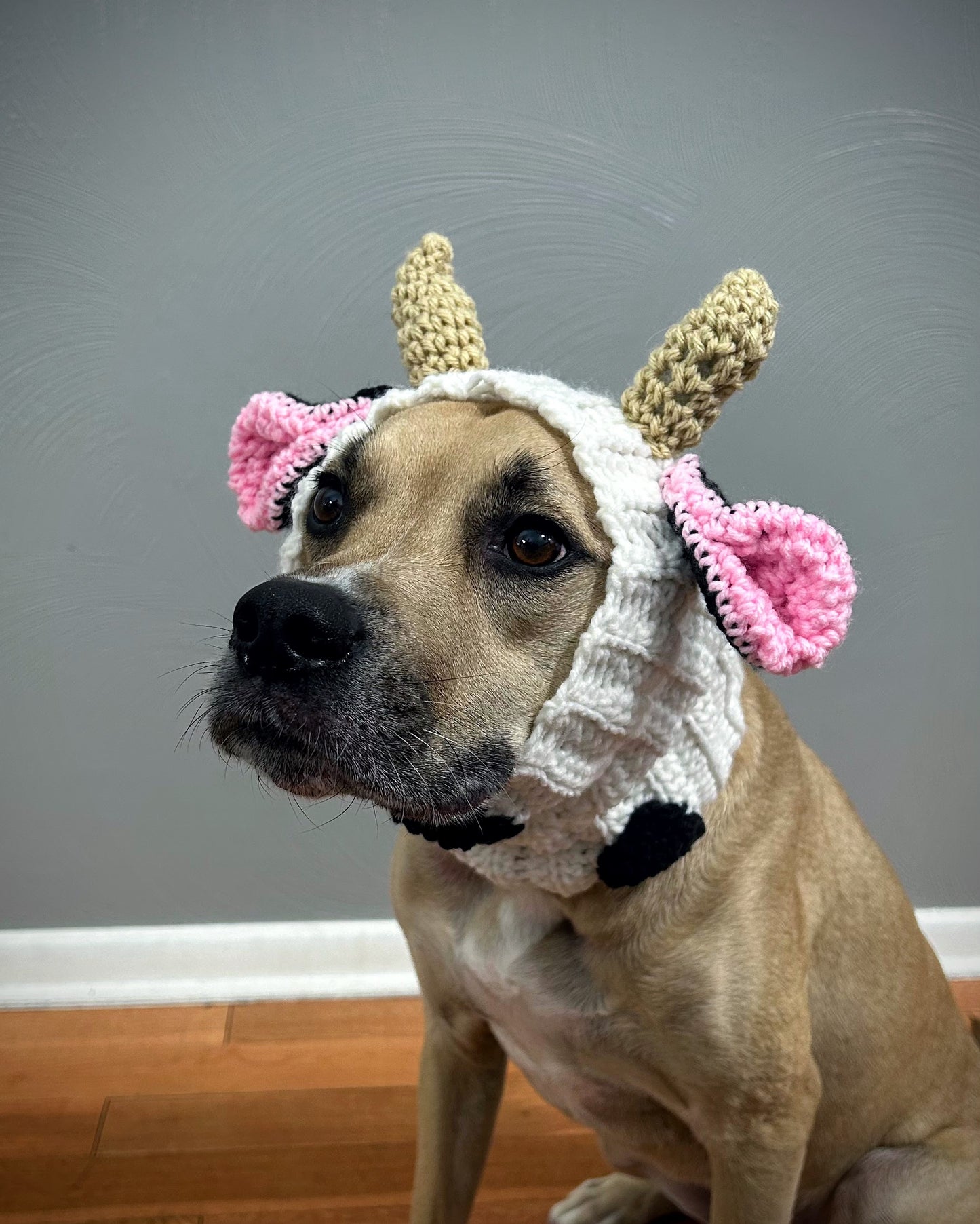 Crochet Cow Dog Snood Pattern