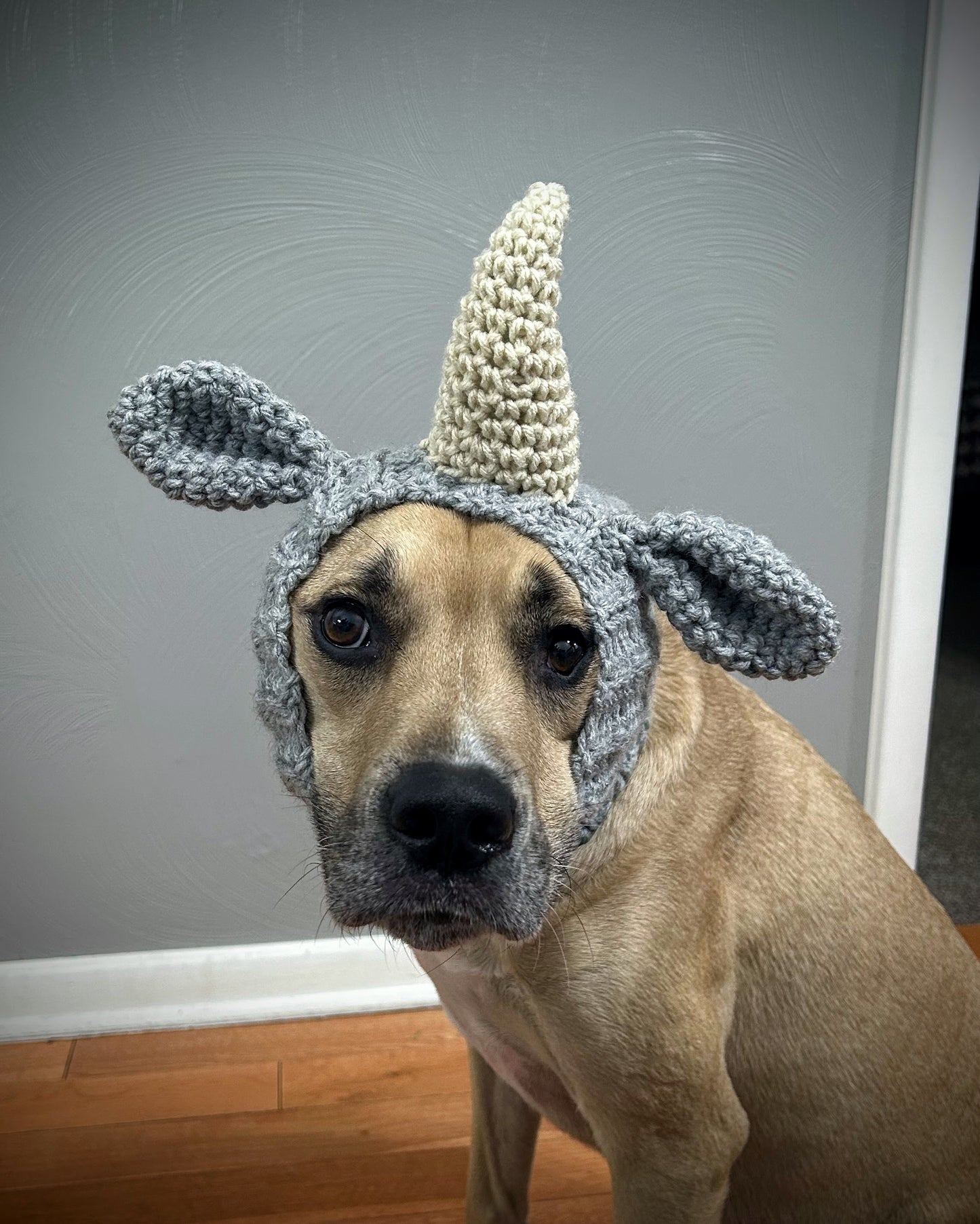 Crochet Dog Rhino Snood Pattern