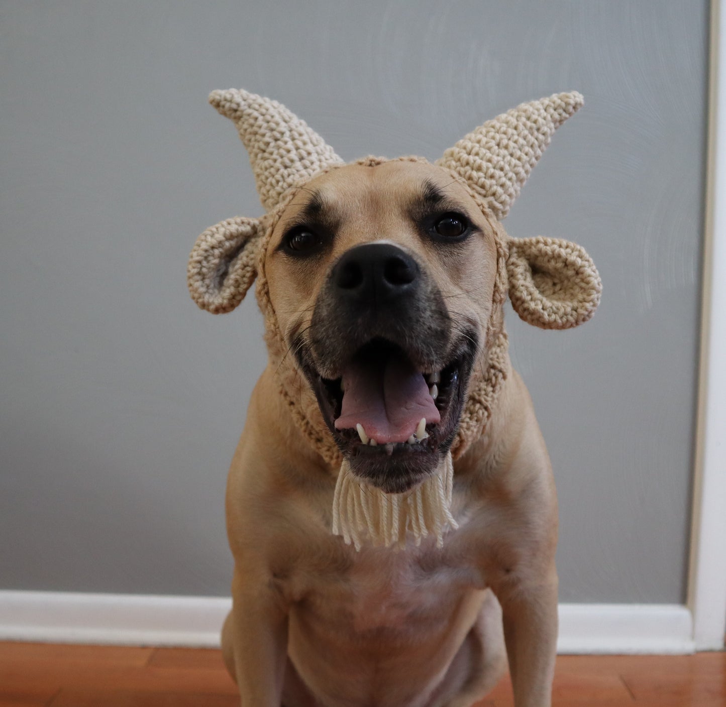 Crochet Bundle of 5 Dog Snood Patterns