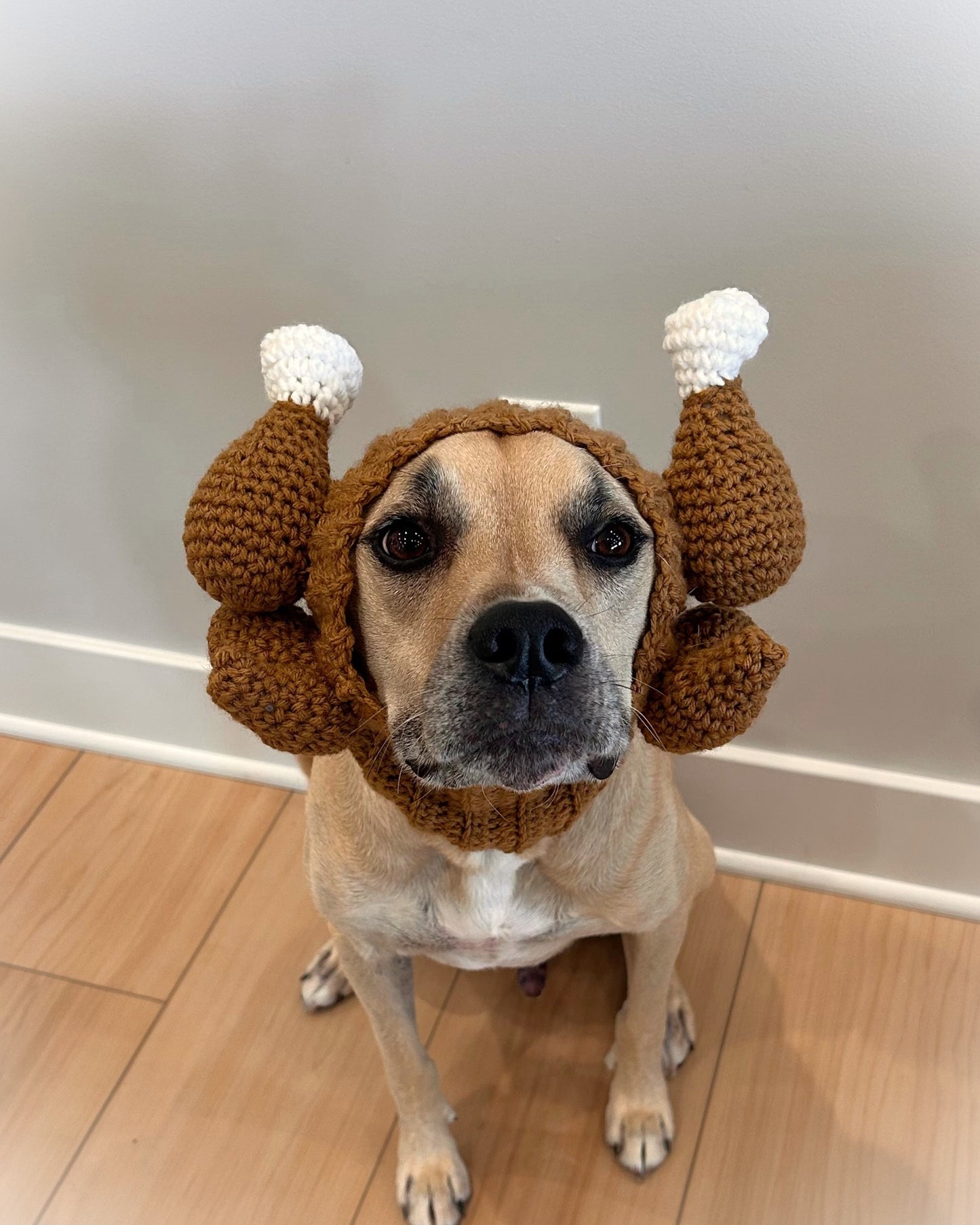 Crochet Dog Thanksgiving Turkey Snood Pattern