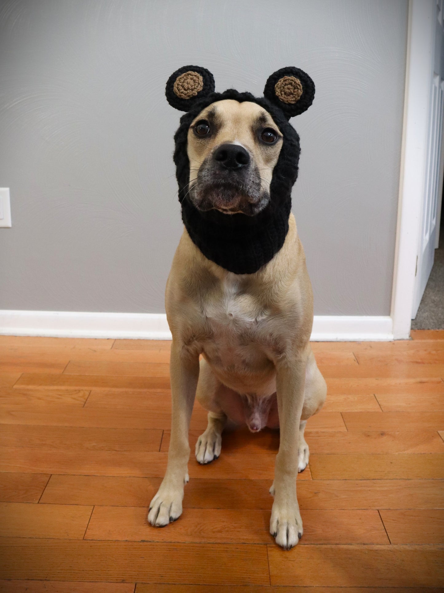 Crochet Dog Black Bear Snood Pattern