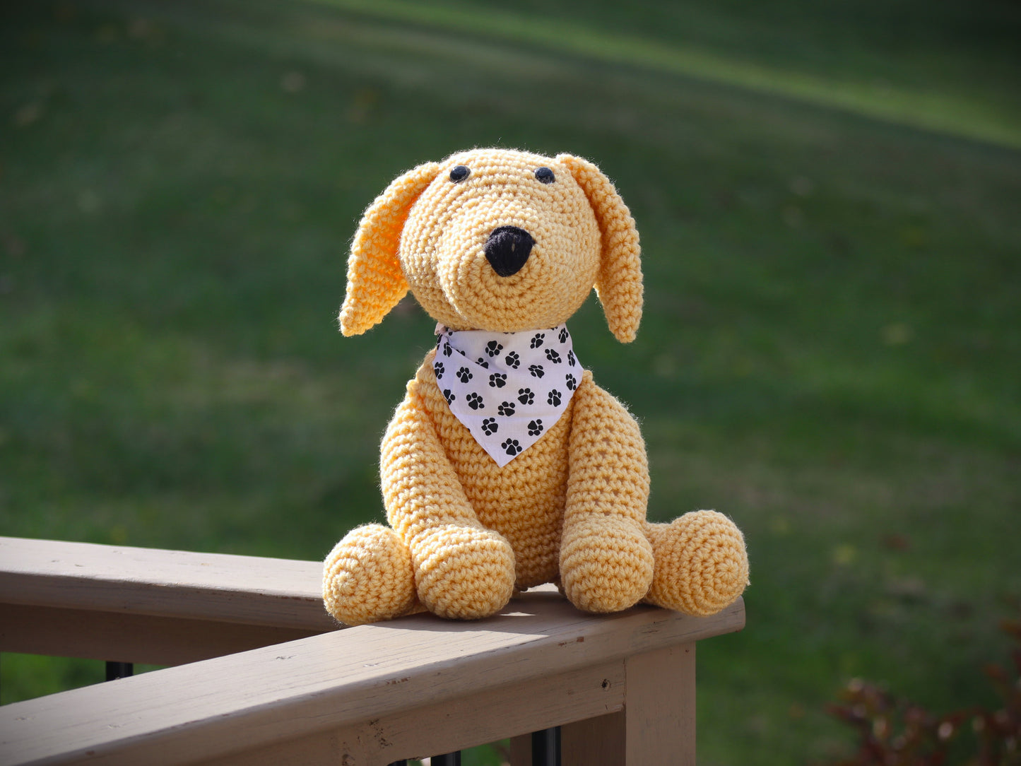 Labrador