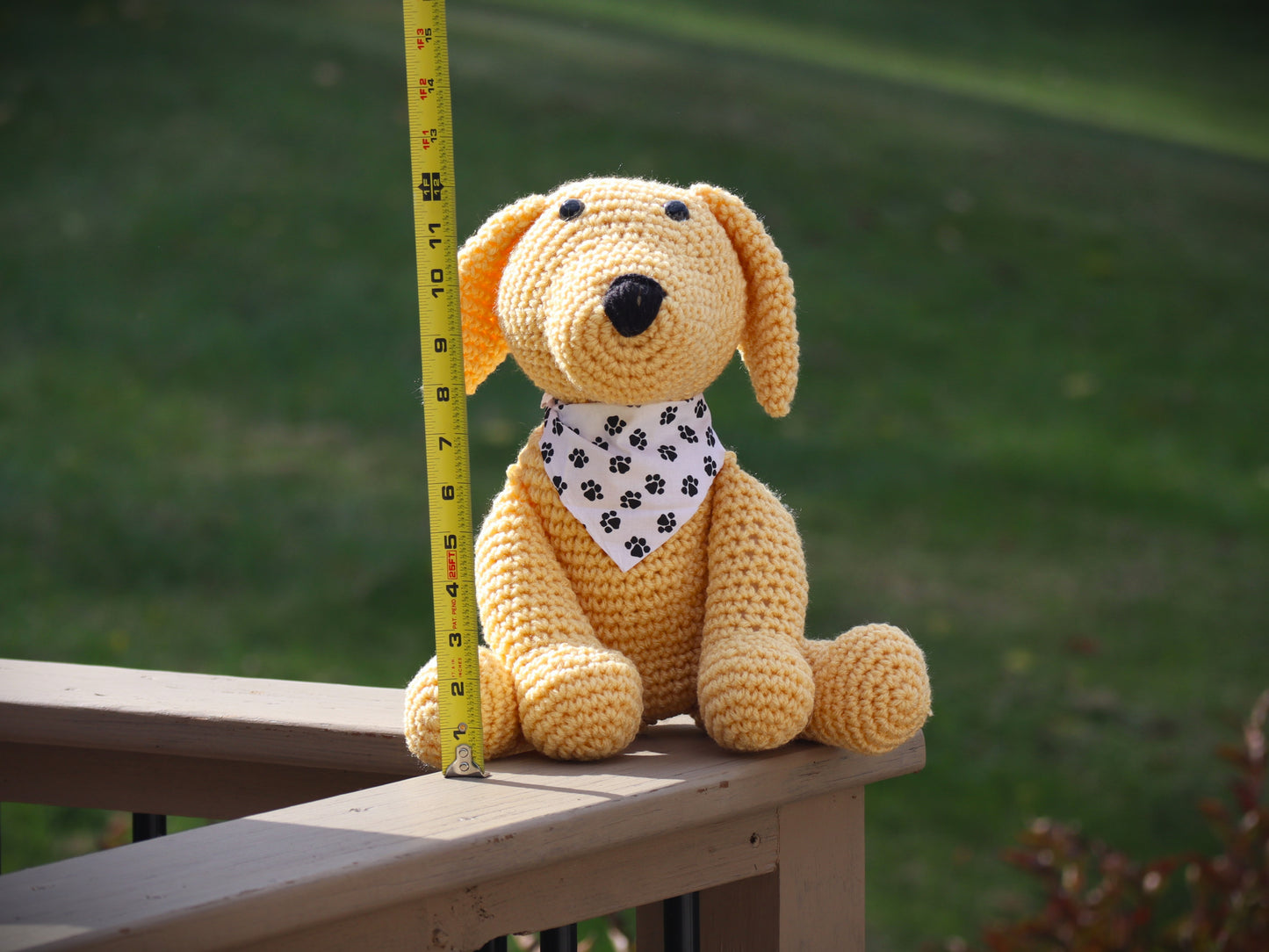 Labrador