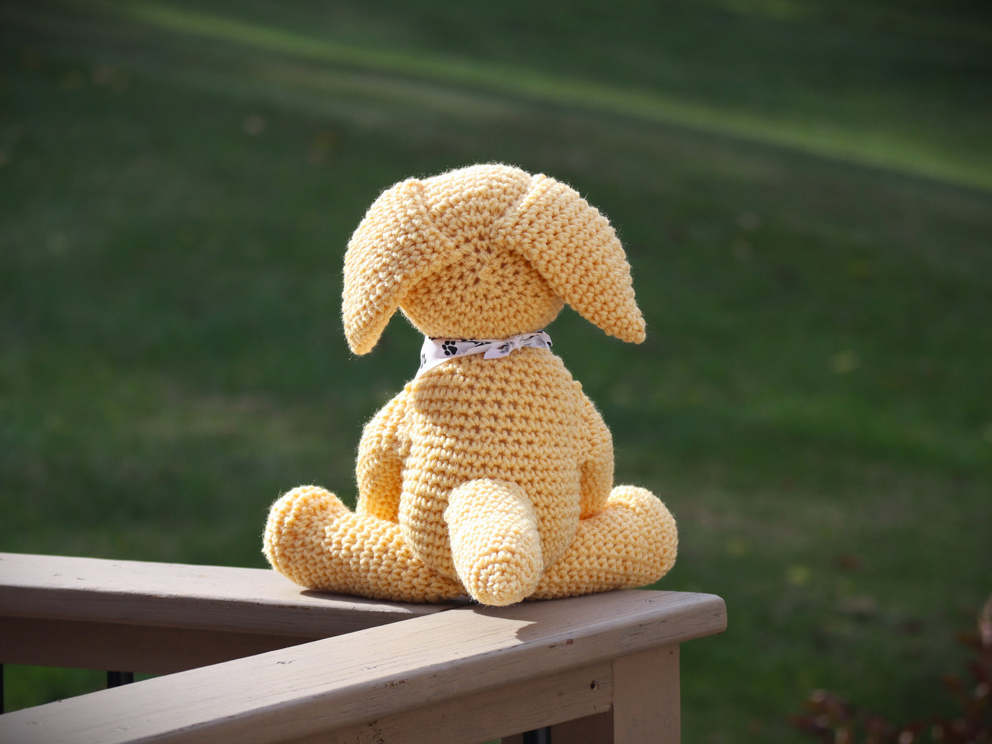 Labrador