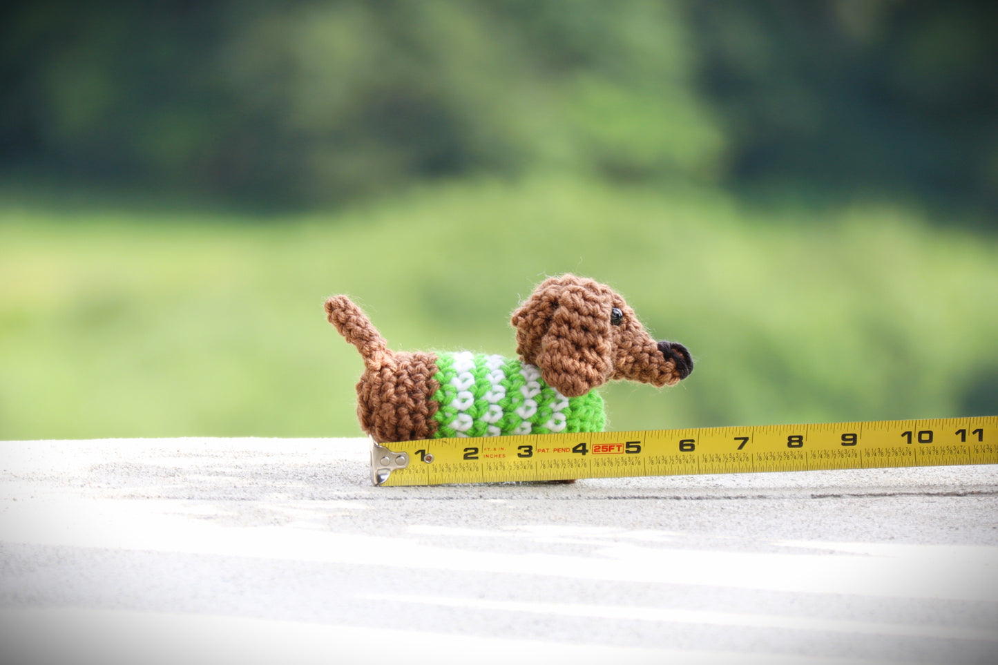 Mini Dachshund in Sweater Pattern