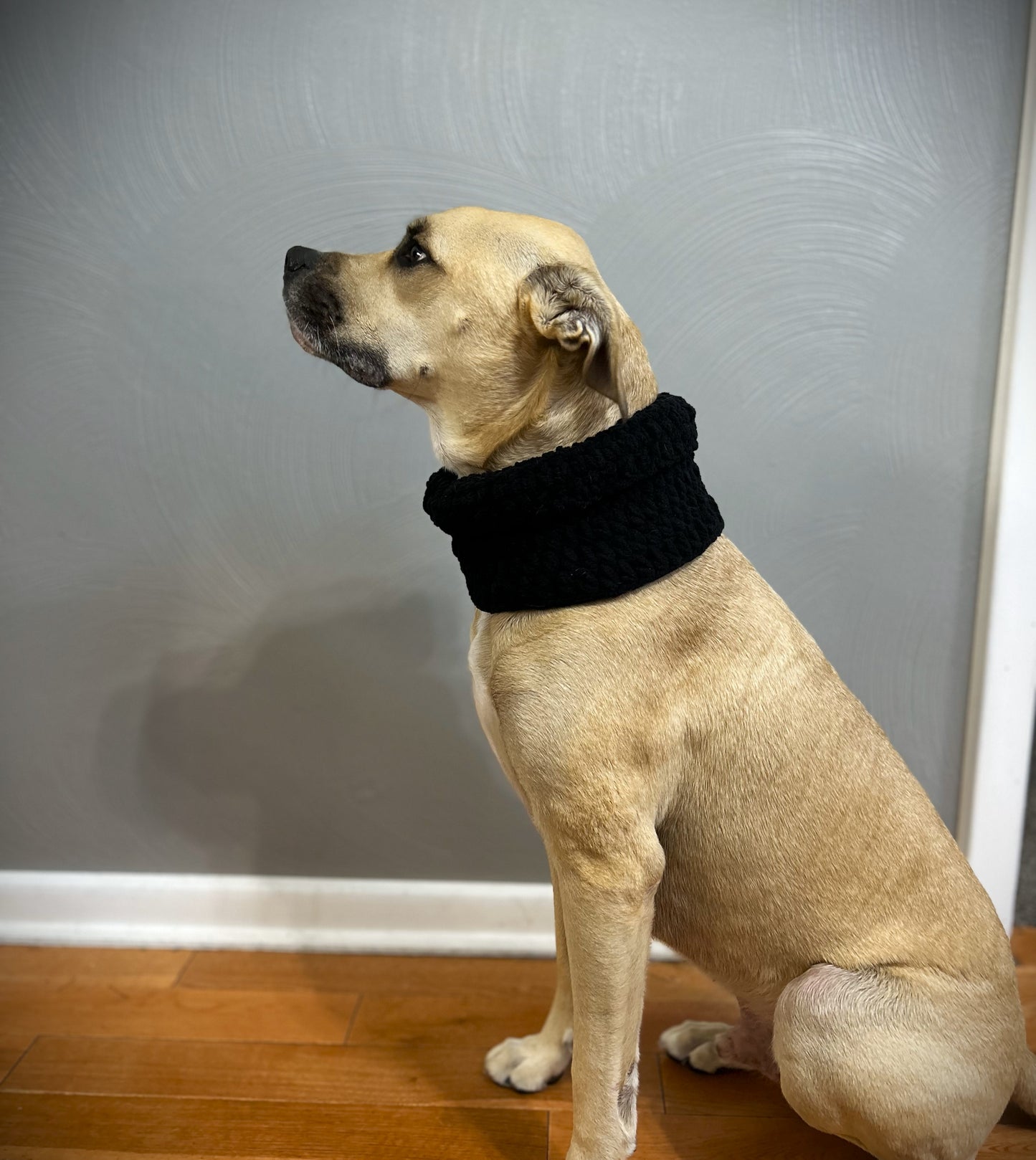 Crochet Dog Cowl Pattern