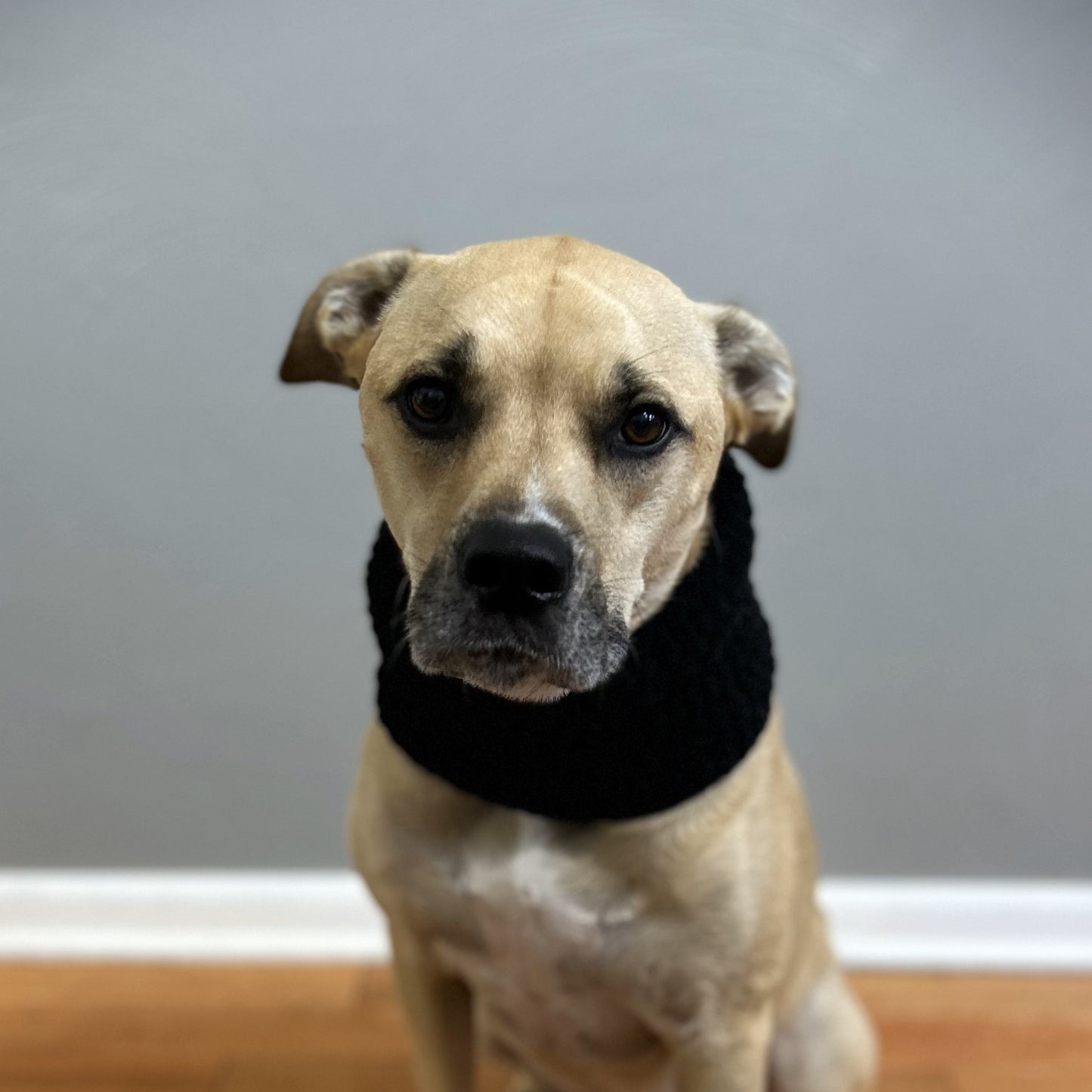Crochet Dog Cowl Pattern