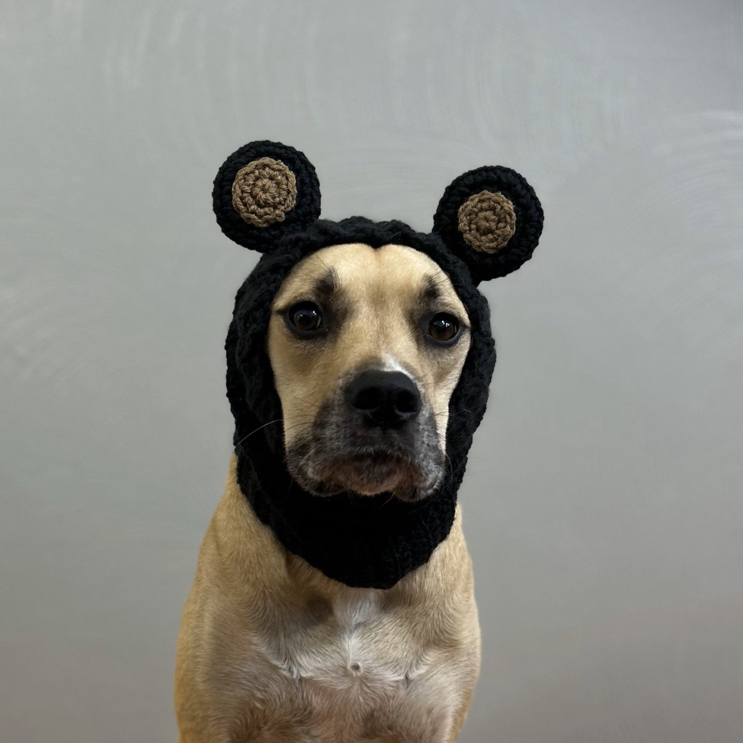 Crochet Dog Black Bear Snood Pattern
