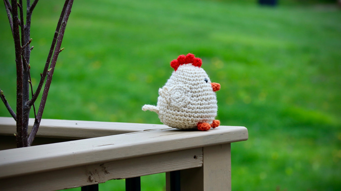 Chicken - Mini