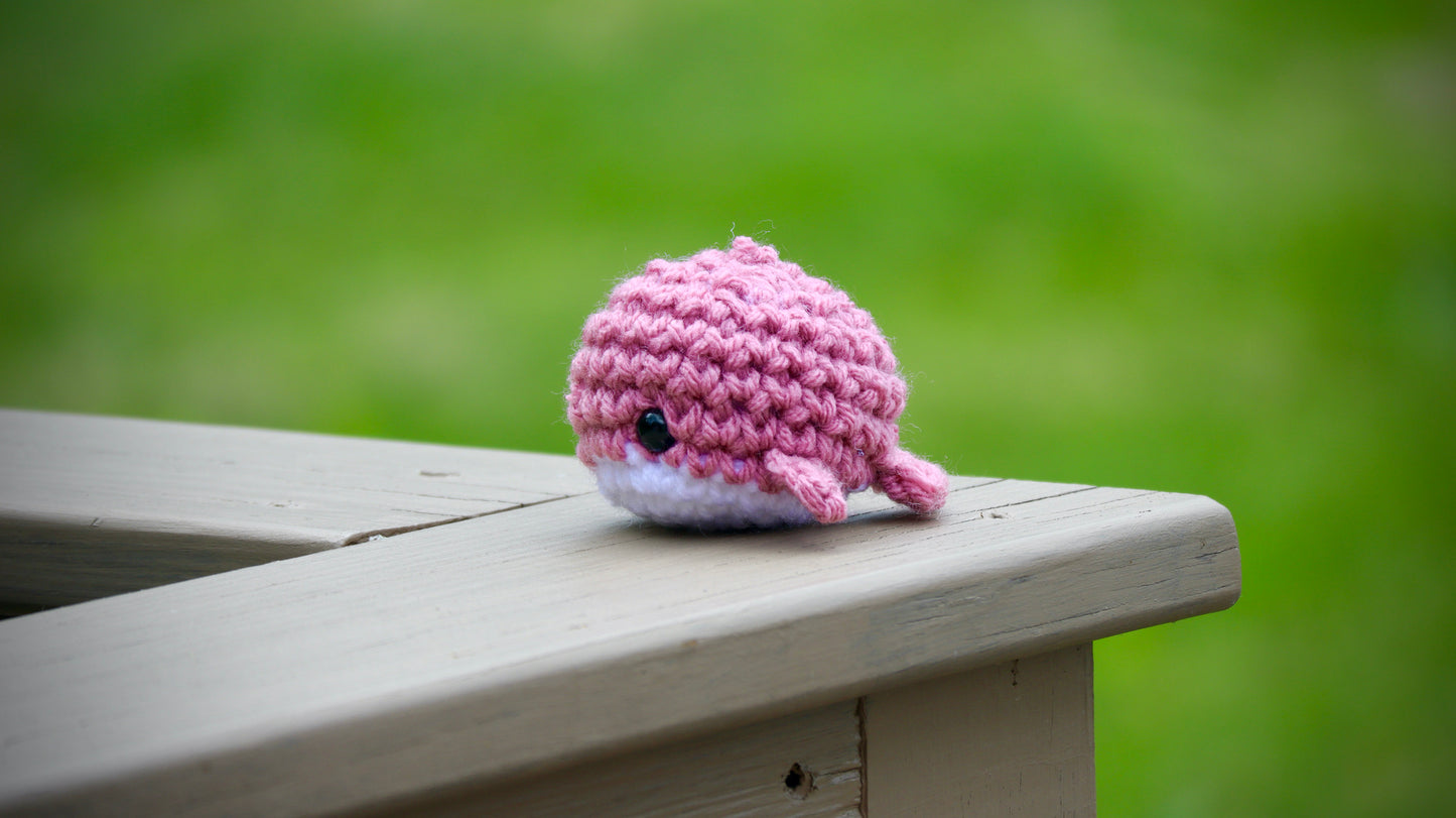 Whale - Mini