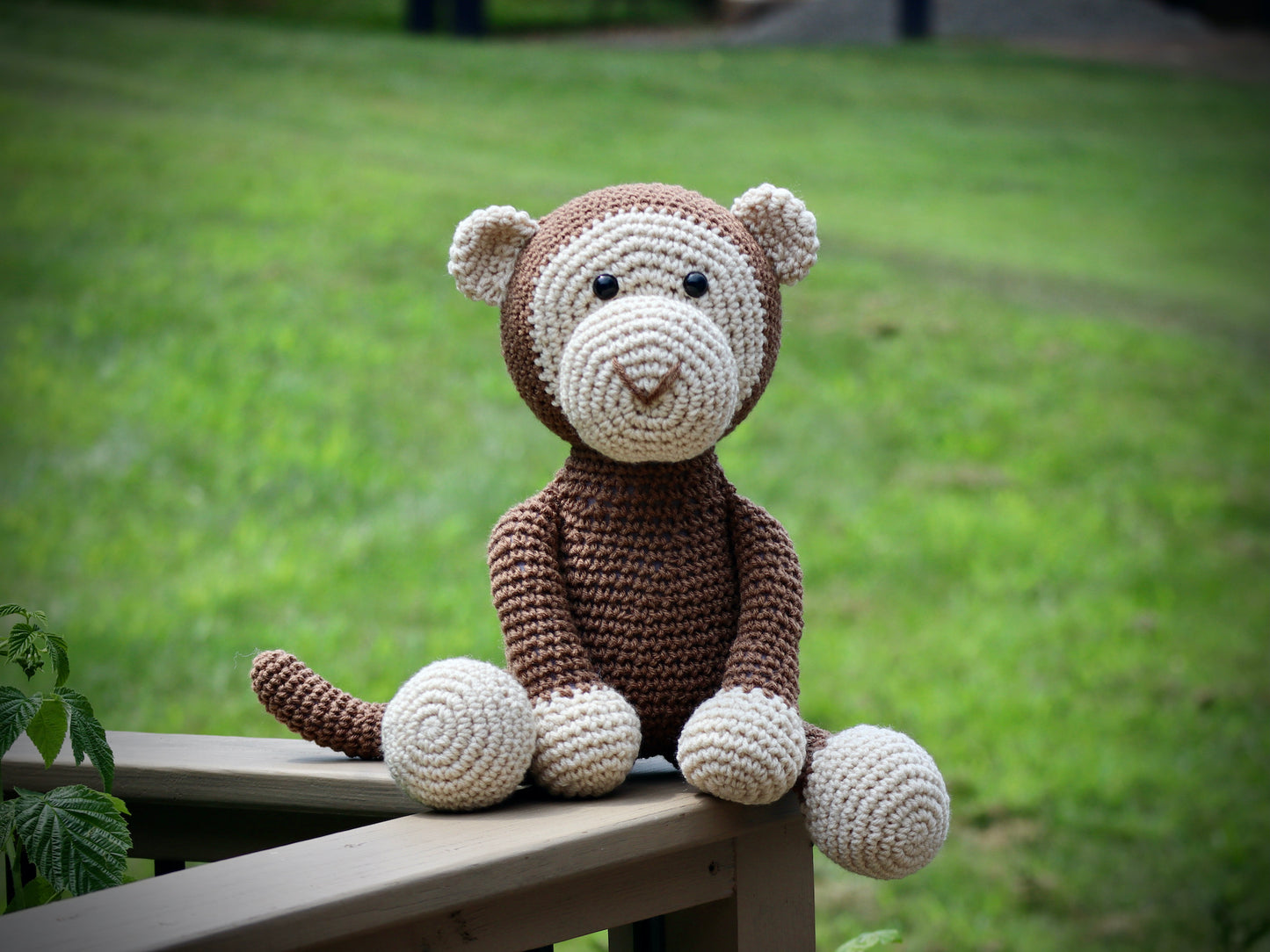 Monkey
