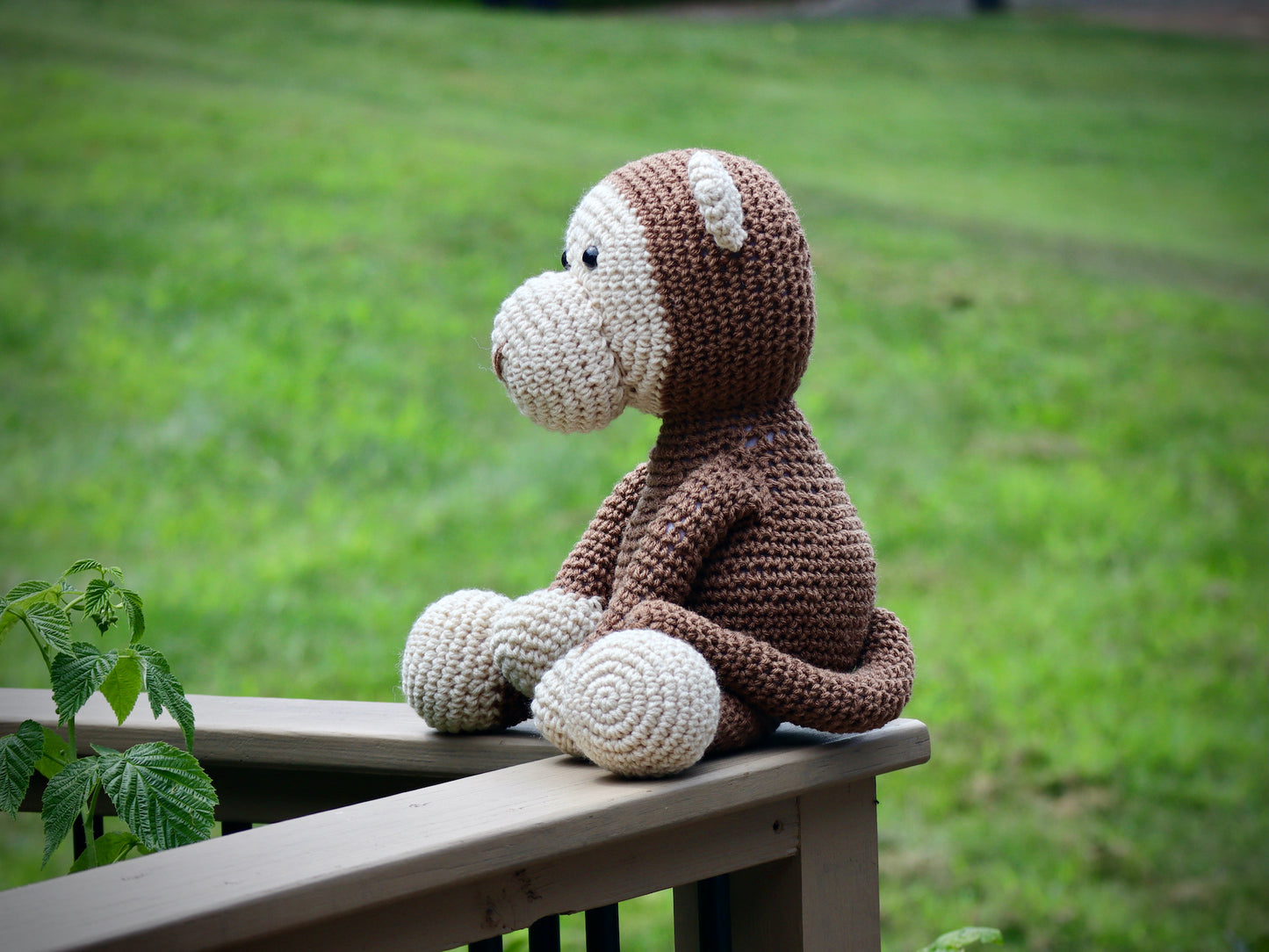Monkey
