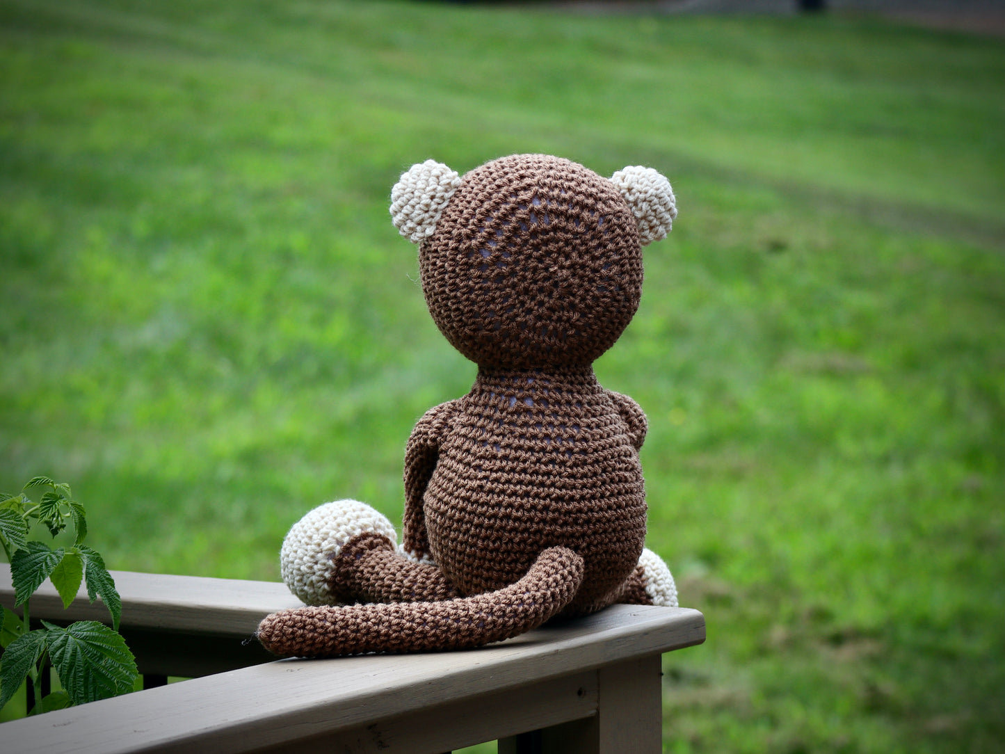 Monkey