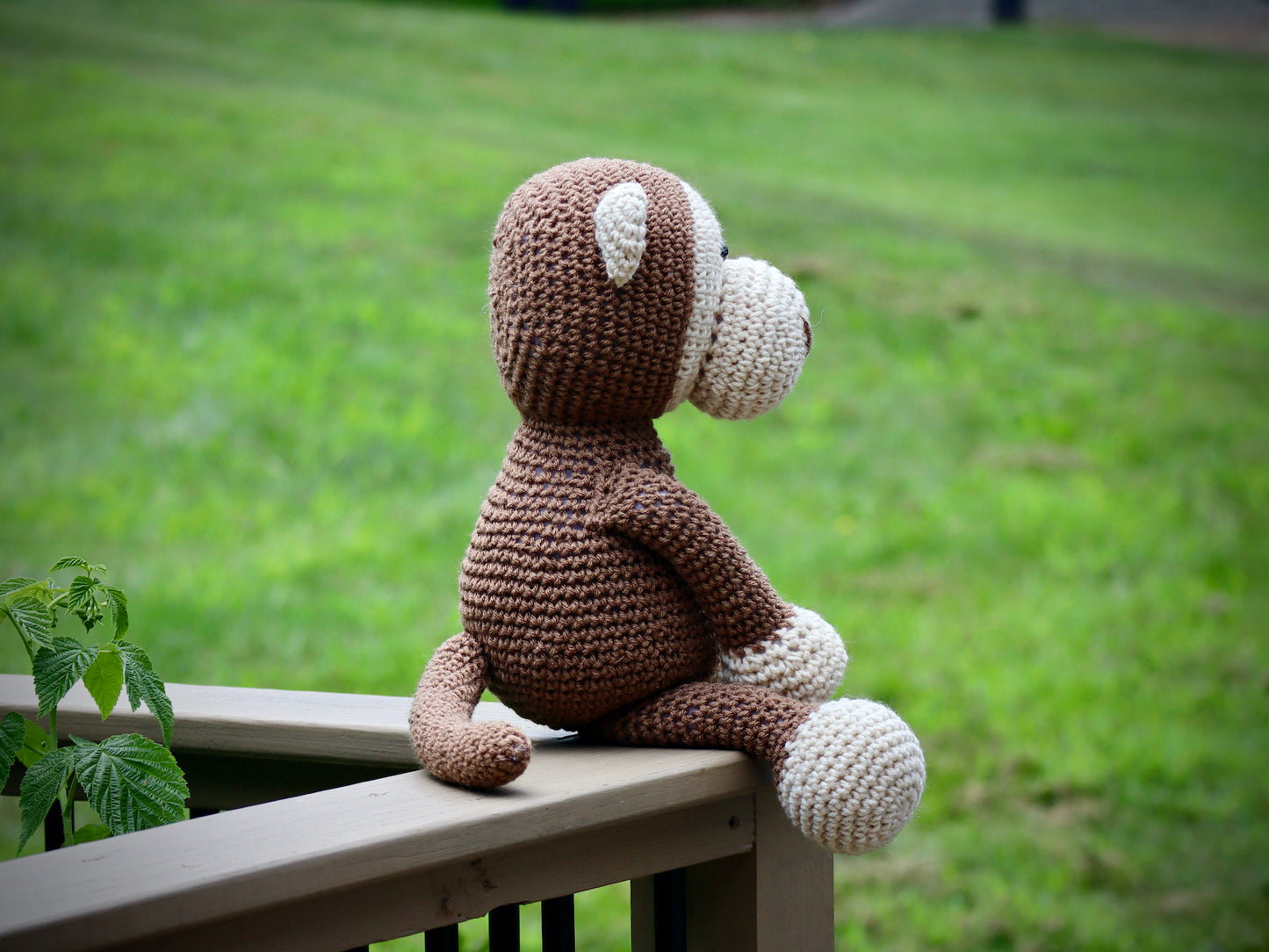 Monkey
