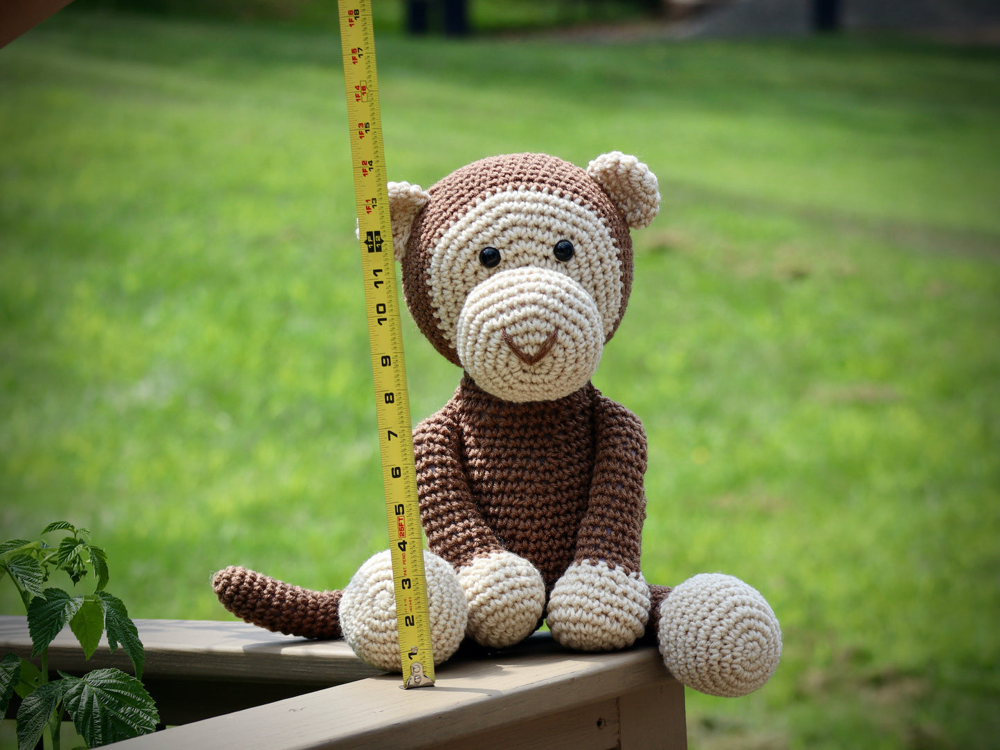 Monkey