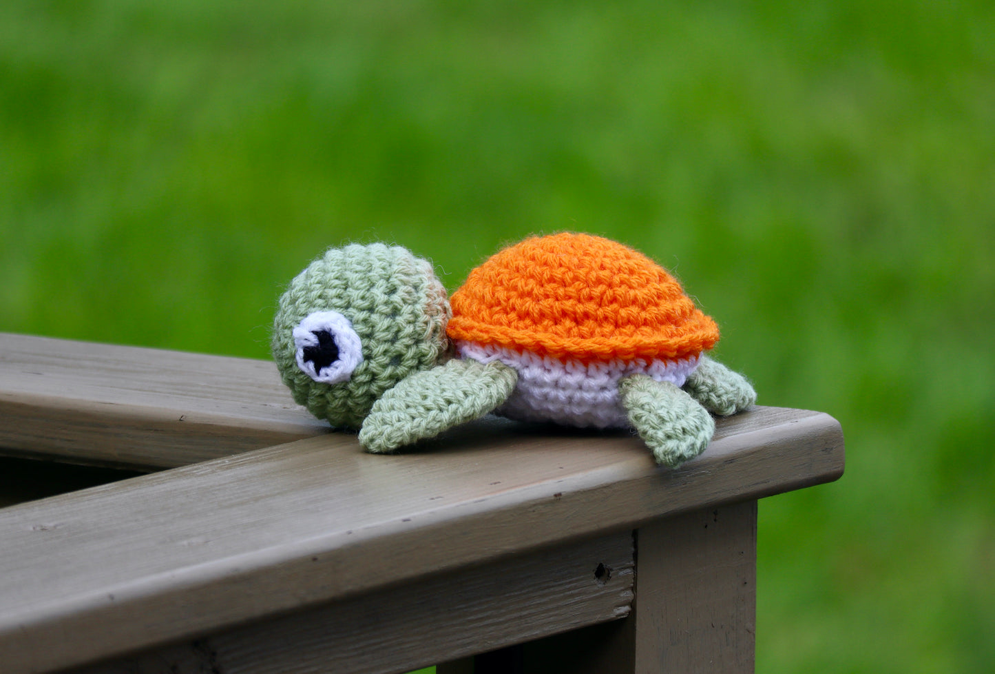 Turtle - Mini