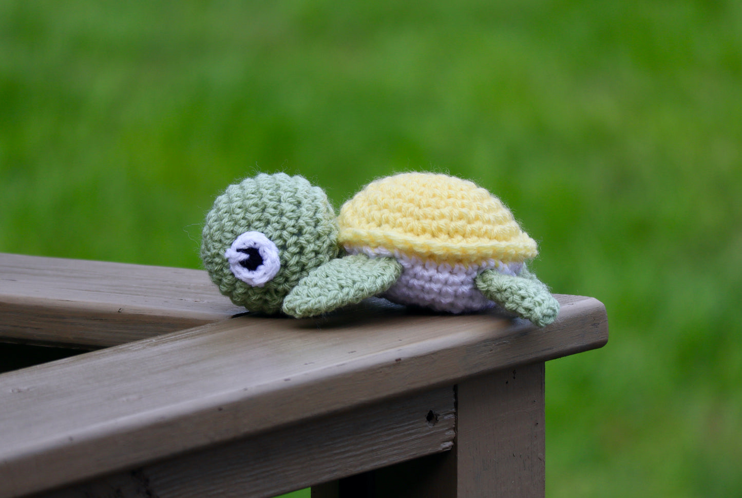 Turtle - Mini