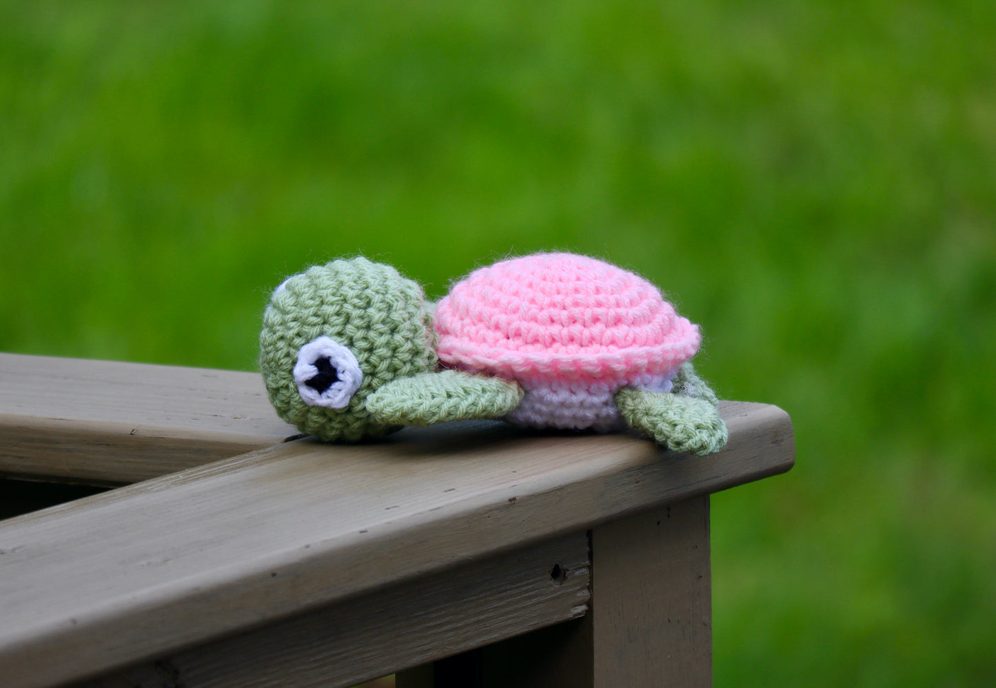 Turtle - Mini