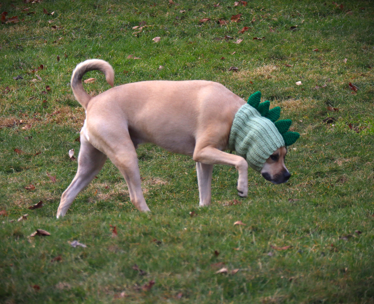 Crochet Dog Dinosaur Snood Pattern