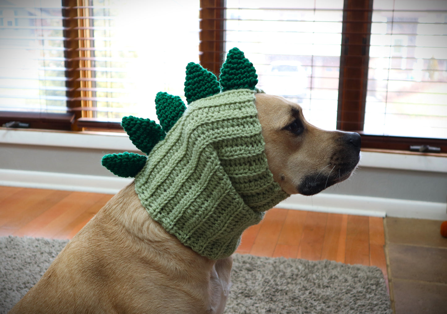 Crochet Dog Dinosaur Snood Pattern