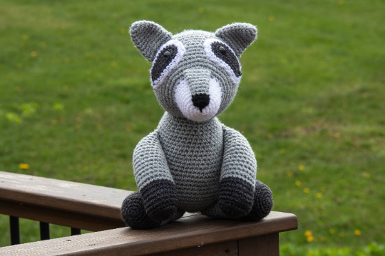 Racoon