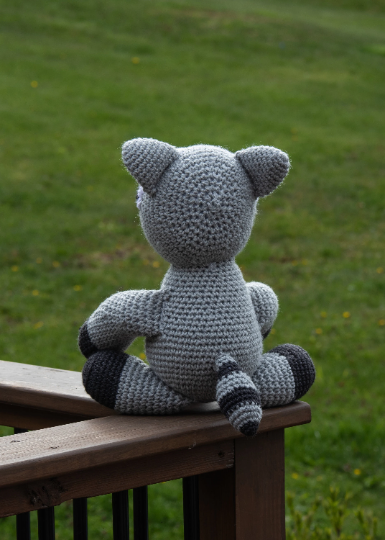 Racoon