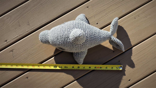 Dolphin