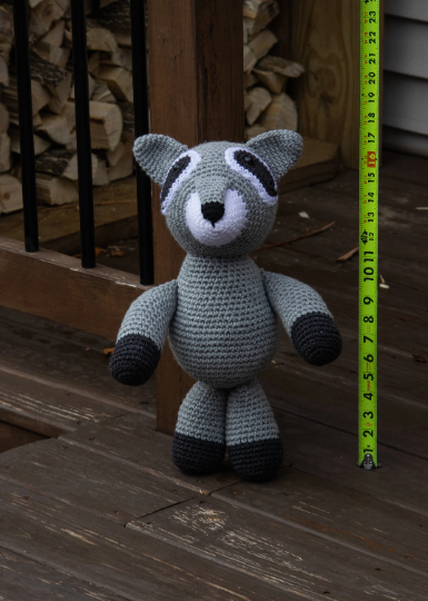 Racoon