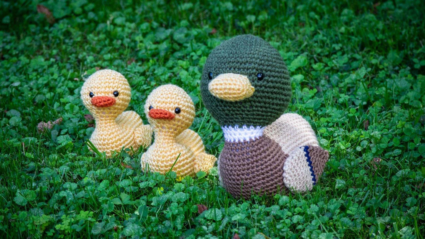Mallard