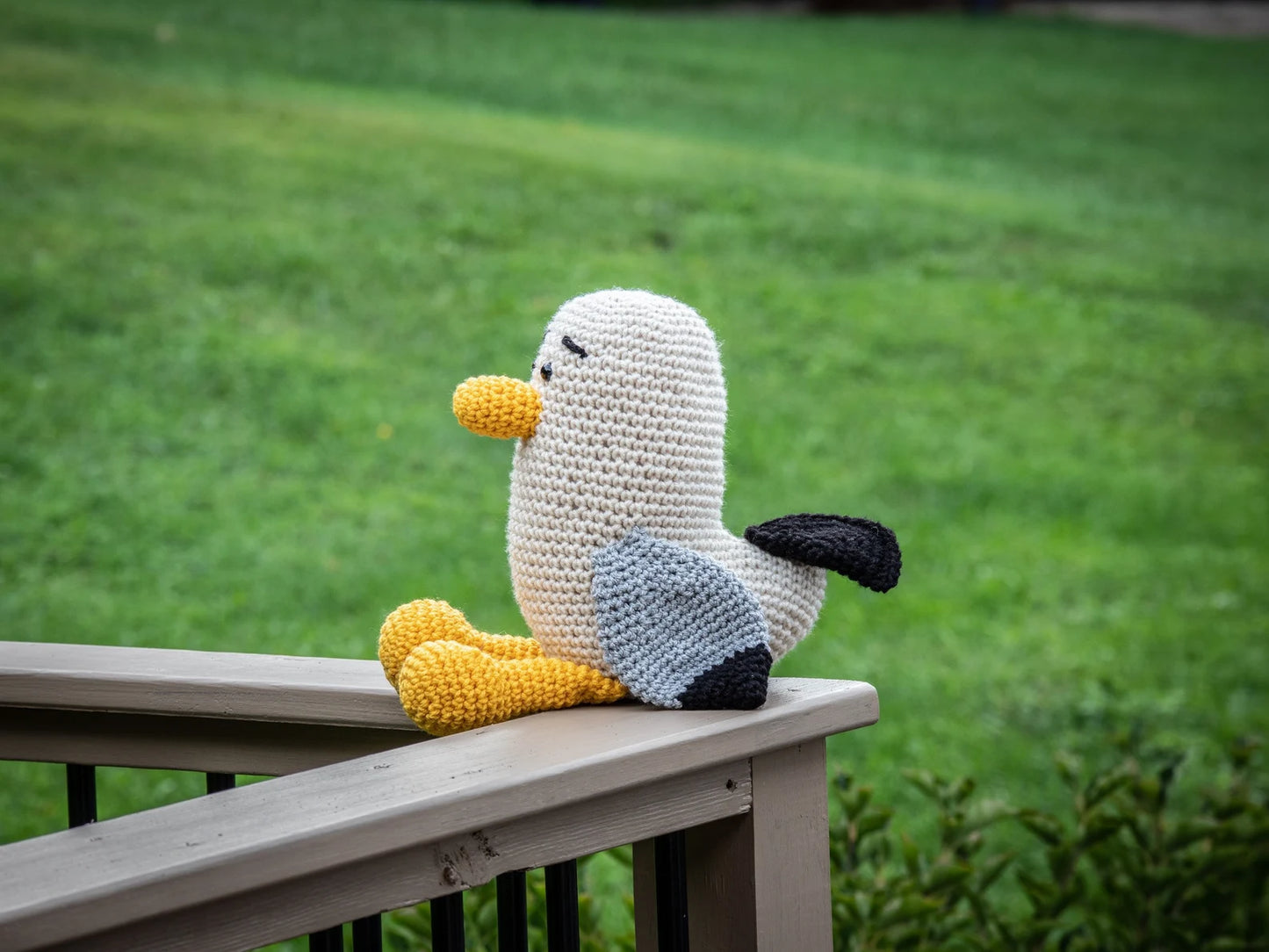 Seagull