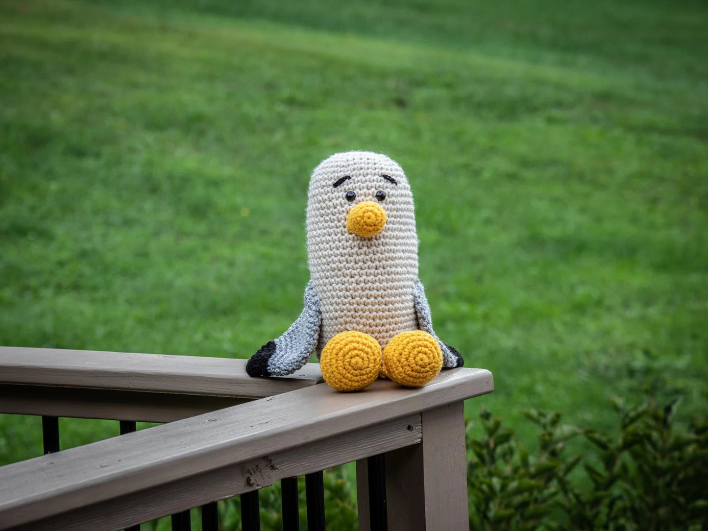 Seagull