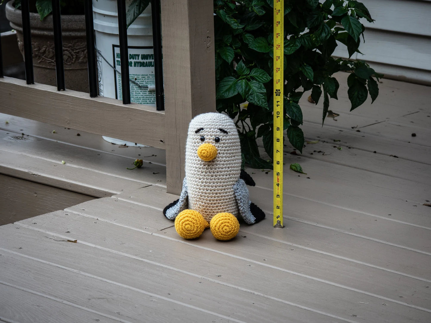 Seagull