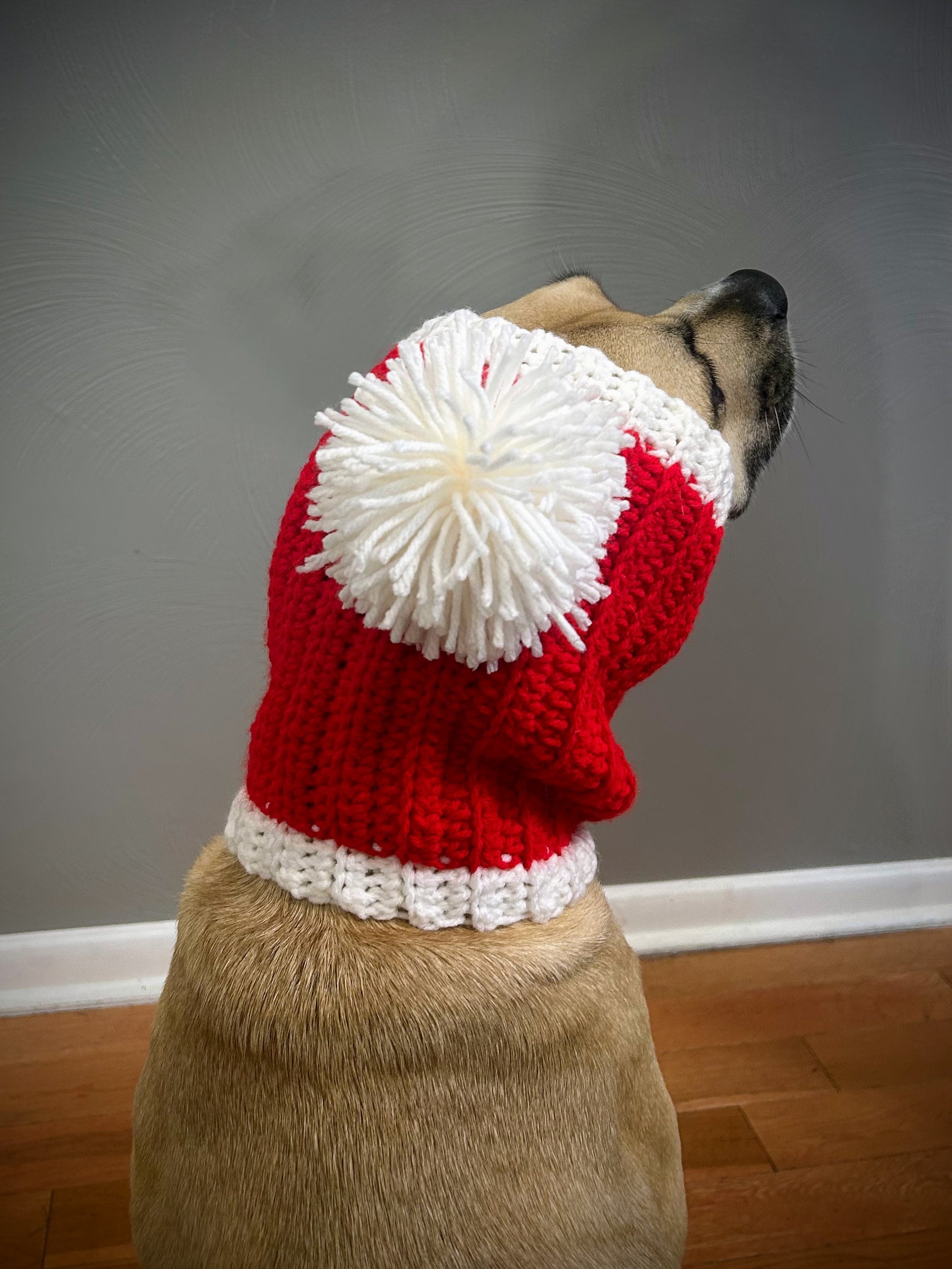 Crochet Christmas Dog Snood Pattern - Main Image