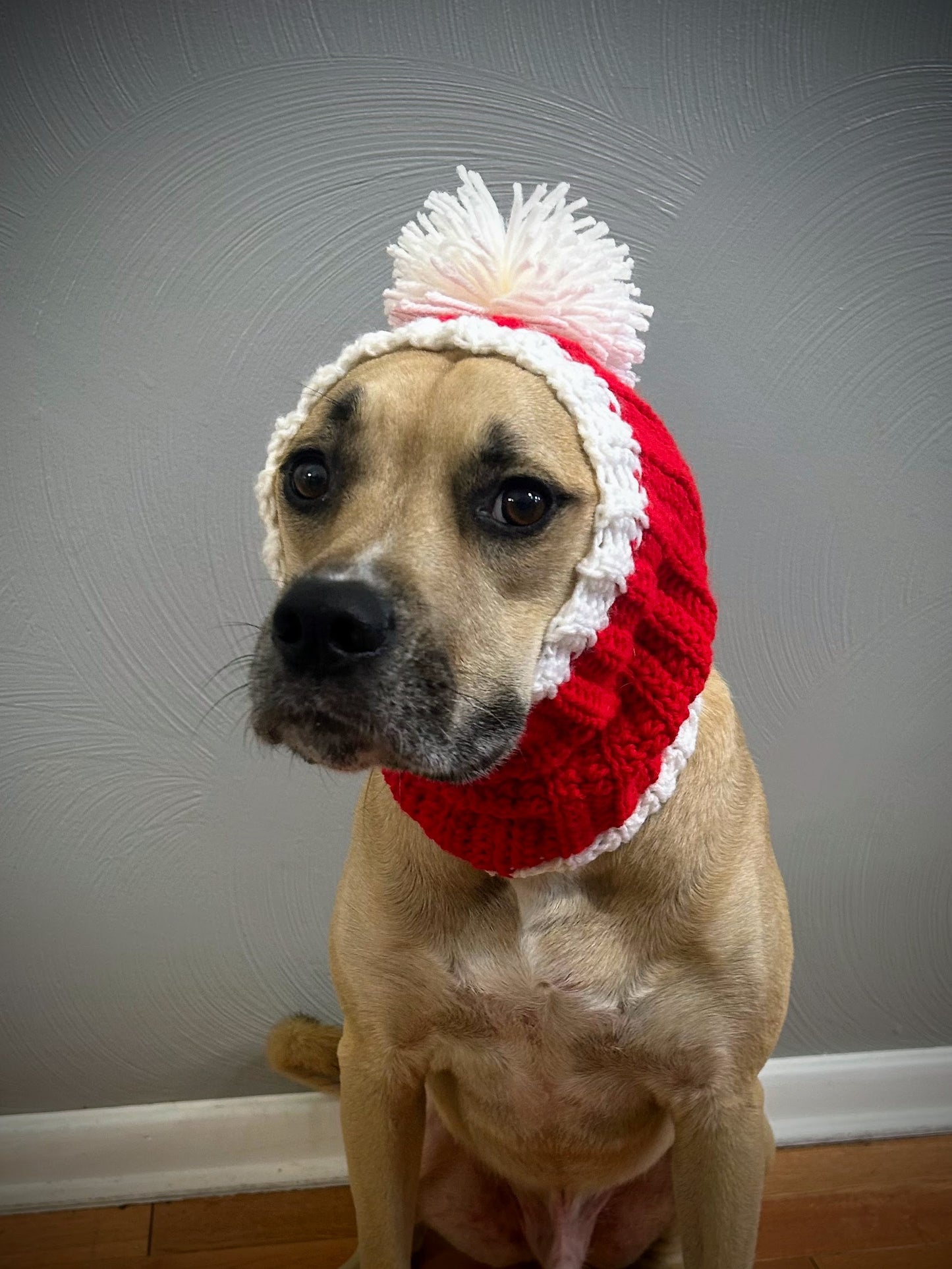 Crochet Christmas Dog Snood Pattern