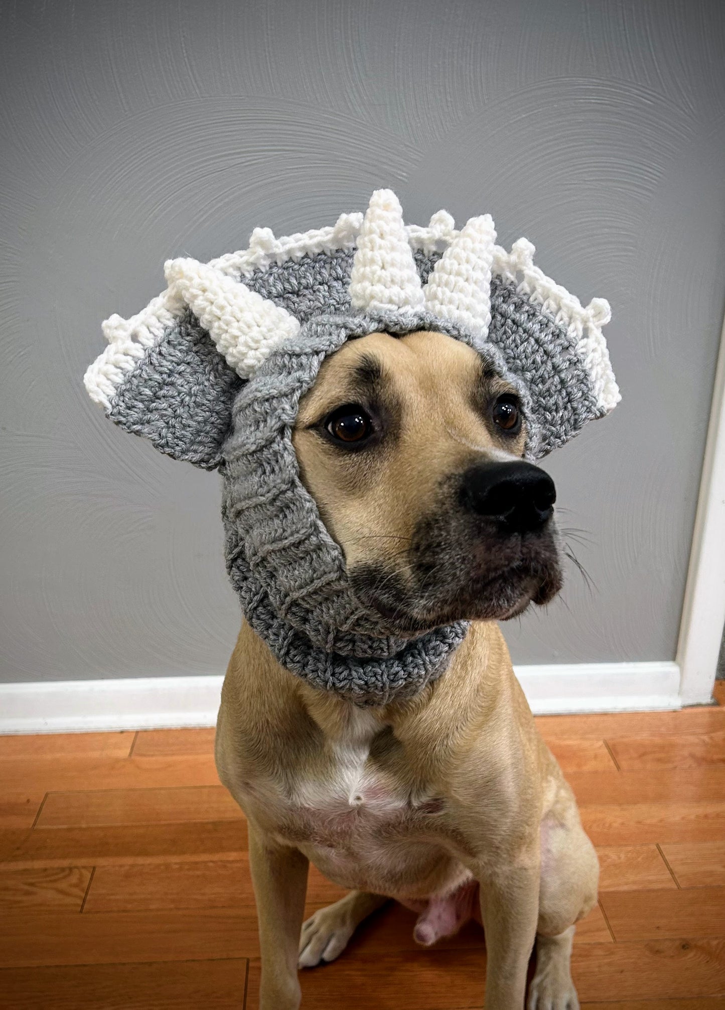 Crochet Dog Triceratops Snood Pattern