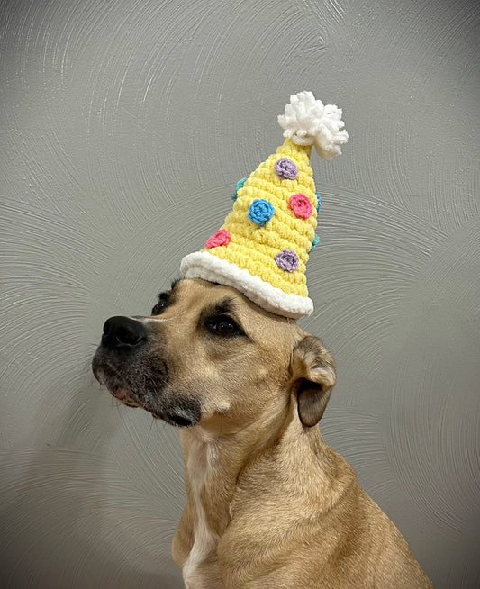 Crochet Dog Birthday Hat Pattern