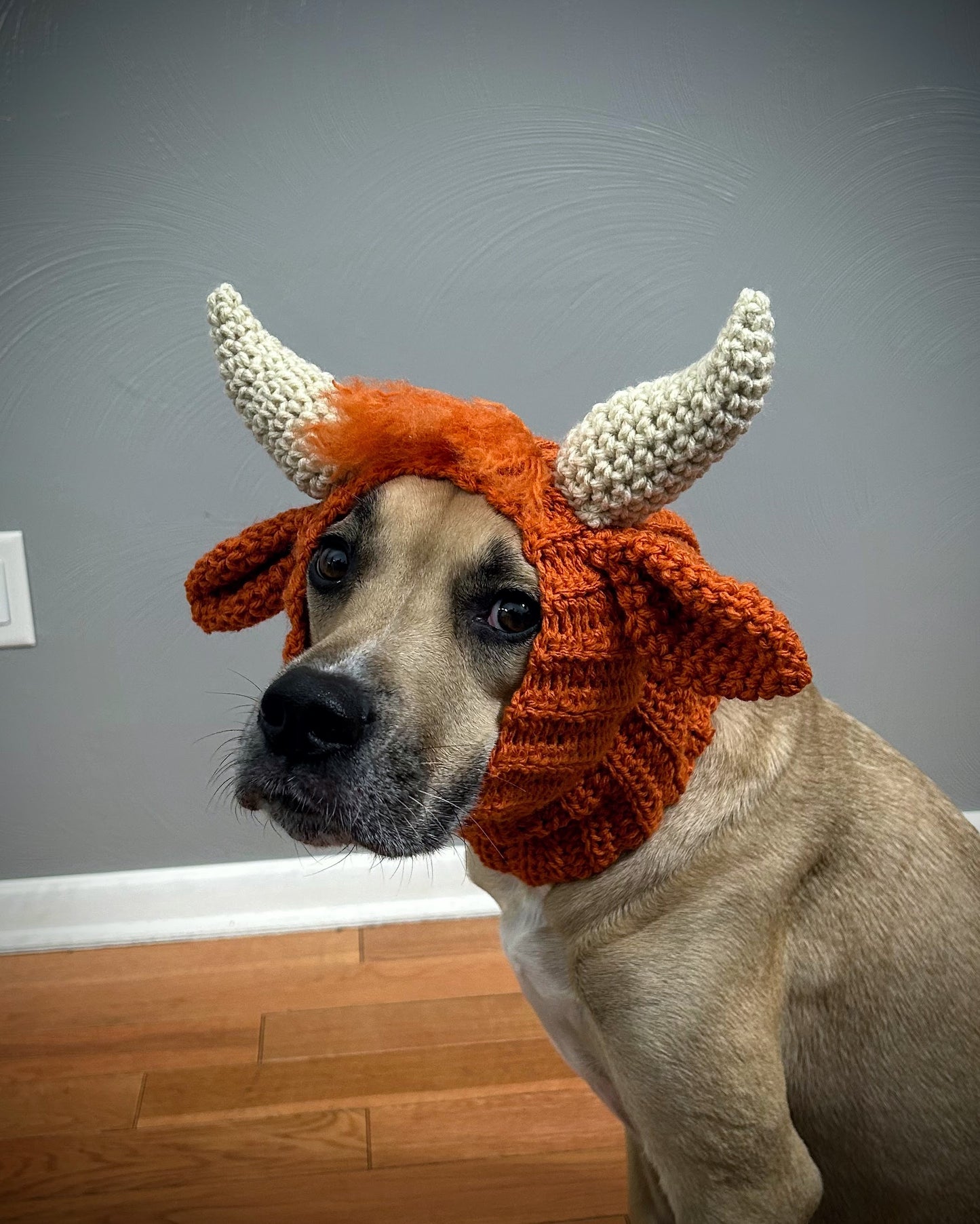 Crochet Dog Highland Cow Snood Pattern