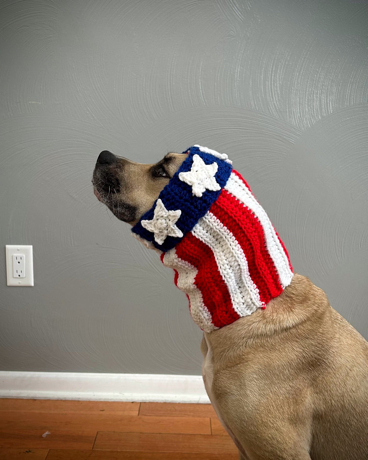 Crochet Dog American Flag Snood Pattern