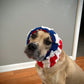 Crochet Dog American Flag Snood Pattern