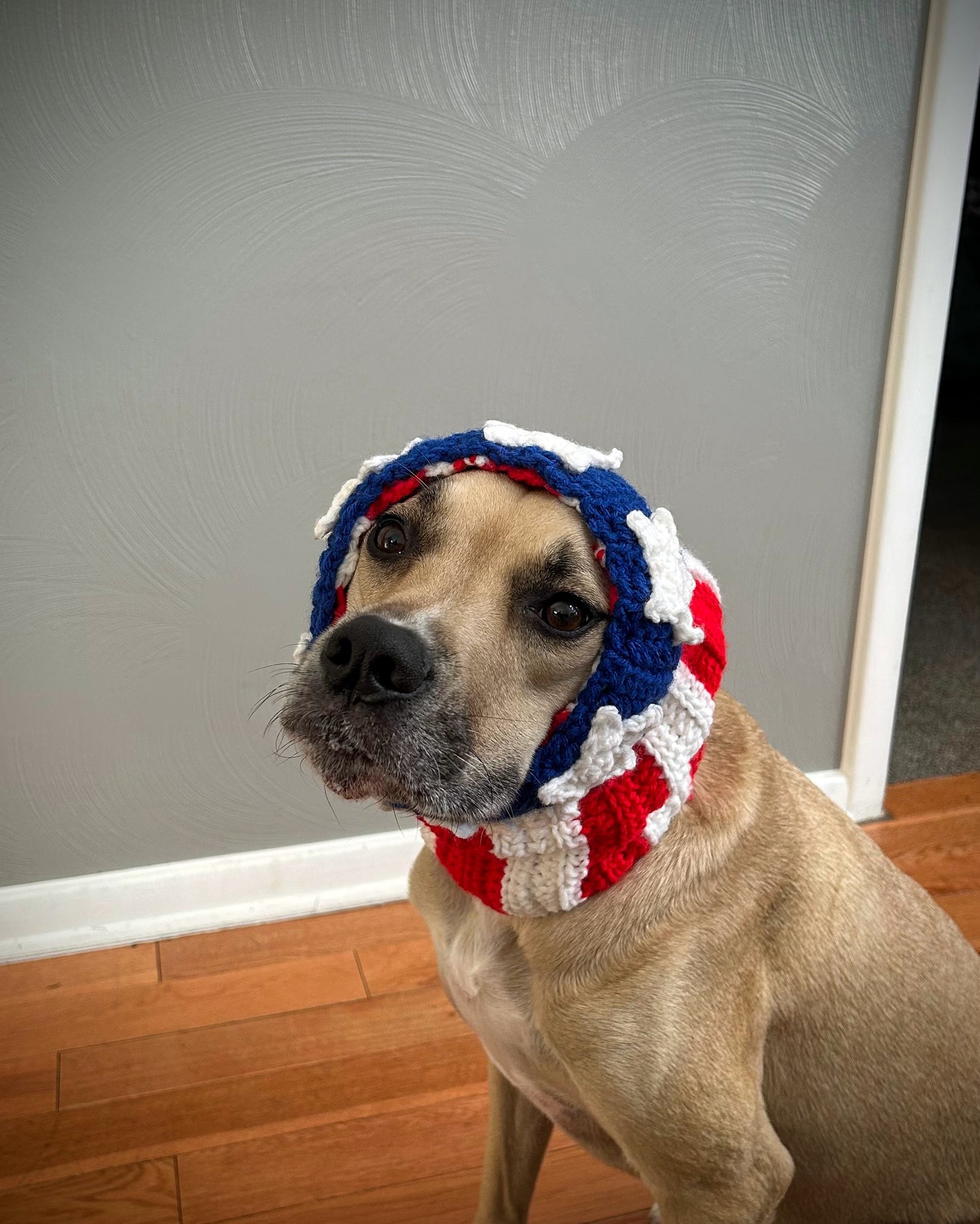 Crochet Dog American Flag Snood Pattern