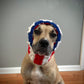 Crochet Dog American Flag Snood Pattern