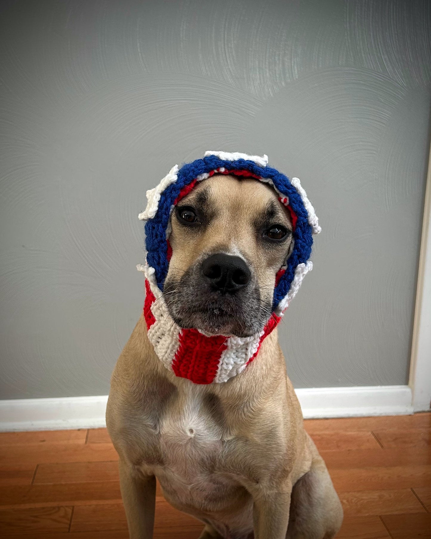 Crochet Dog American Flag Snood Pattern