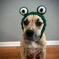 Crochet Frog Dog Snood Pattern